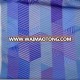 Wholesale Polyester79% Spandex 21% Blend Printed Fabric